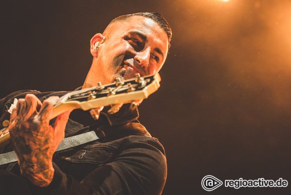Broilers Social Club Tour ersatzlos abgesagt!