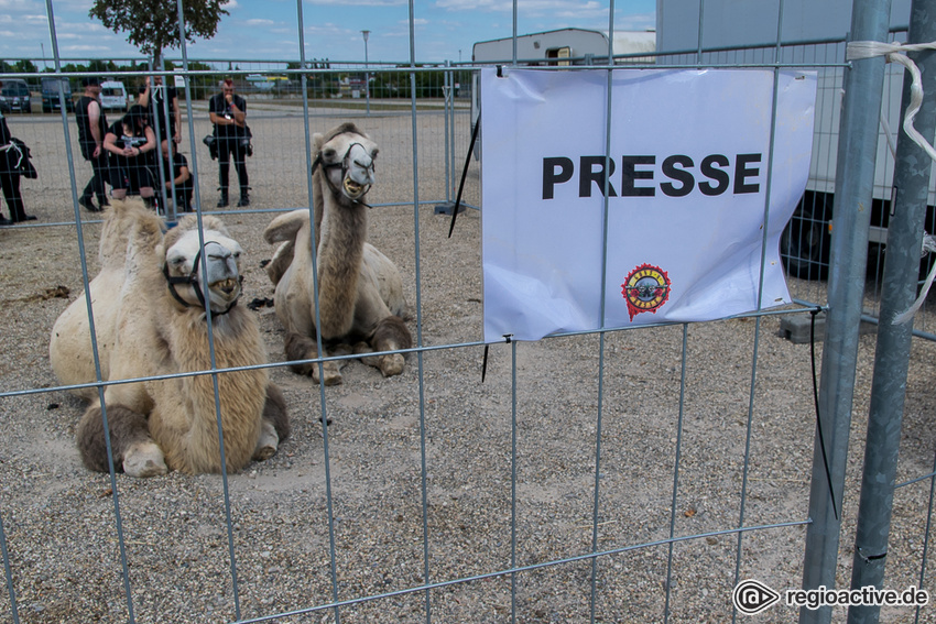 Impressionen vom Freitag/Samstag II (live beim Black Castle Festival, 2018)