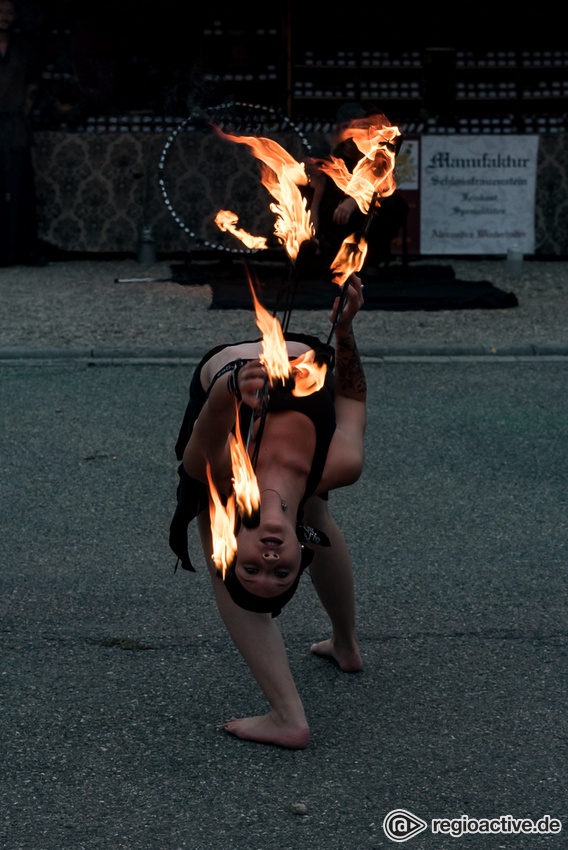 Impressionen vom Freitag/Samstag II (live beim Black Castle Festival, 2018)