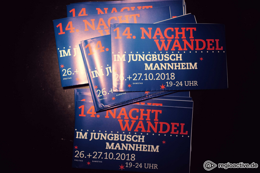 Impressionen vom Freitag Nachtwandel 2018