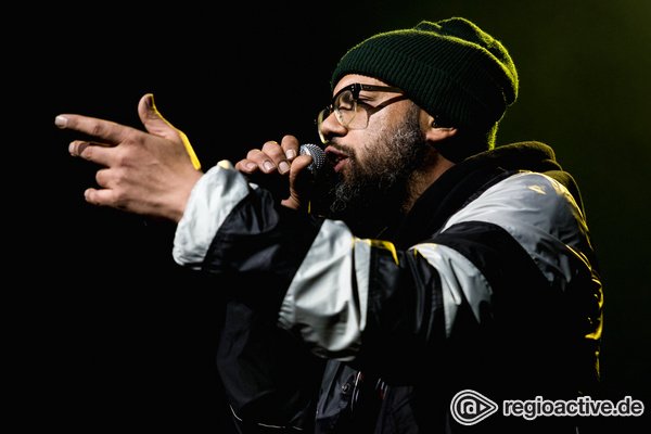 Emotional - Samy Deluxe öffnet sein Poesiealbum für eine Zeitreise durch deutschen Hip-Hop 