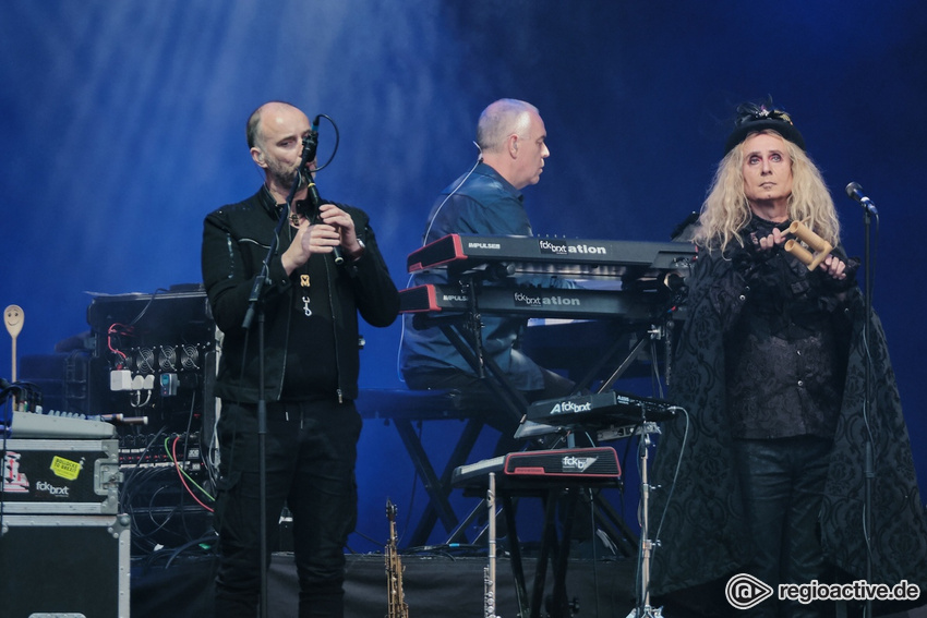 Steve Hackett (live in Mainz 2019)