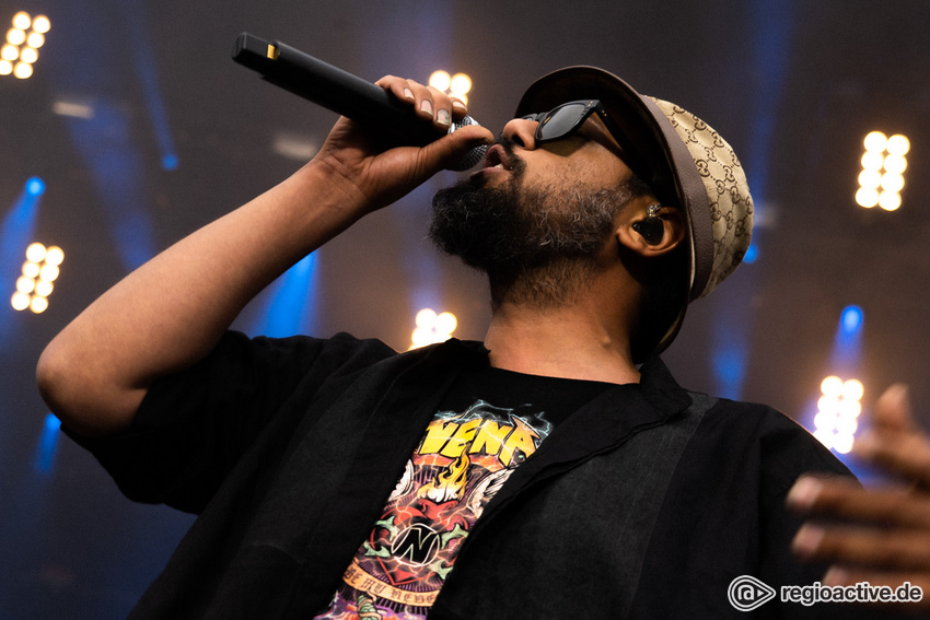 Samy Deluxe (live beim Deichbrand Festival 2019