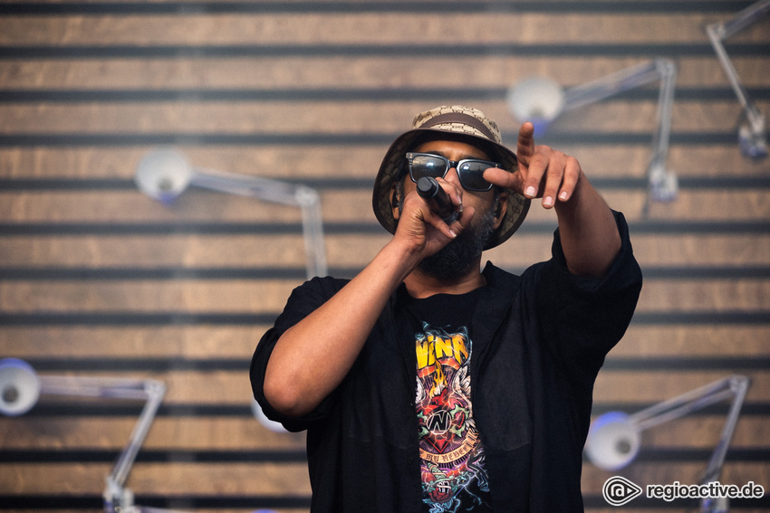 Samy Deluxe (live beim Deichbrand Festival 2019