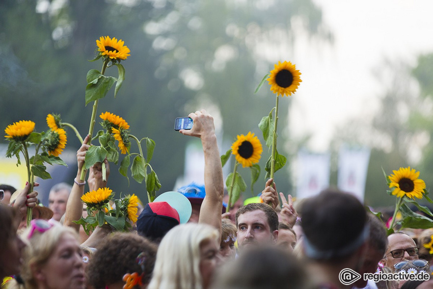 Impressionen (live in Weinheim, 2019)