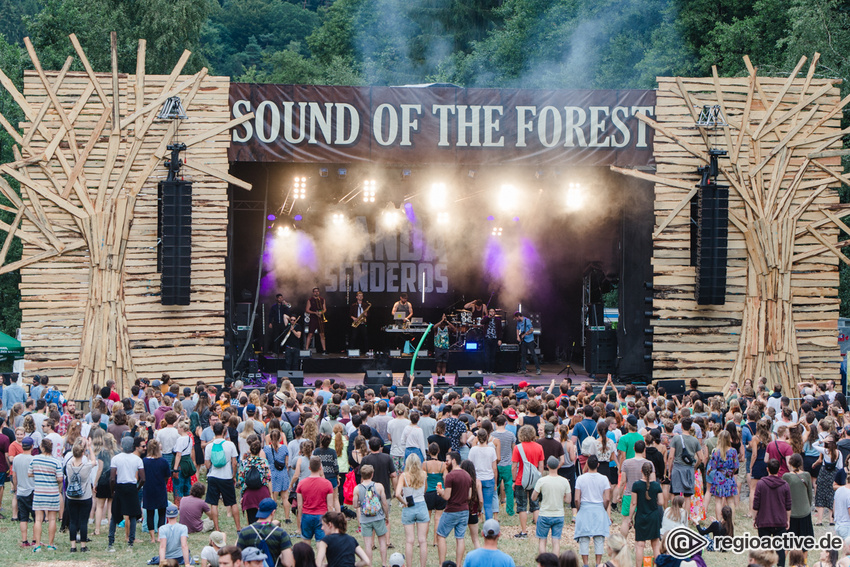 Musik-Idyll - Sound of the Forest Festival 2024 mit Bosse, Mayberg und Leoniden 