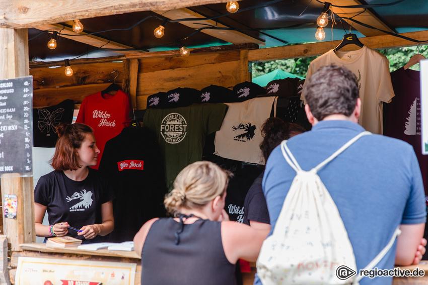 Impressionen von Samstag (bei Sound of the Forest, 2019)