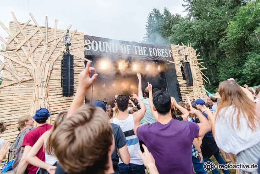 Impressionen von Samstag (bei Sound of the Forest, 2019)