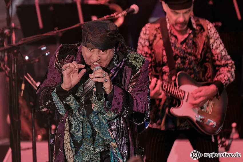 Little Steven & The Disciples Of Soul (live in Hanau 2019)