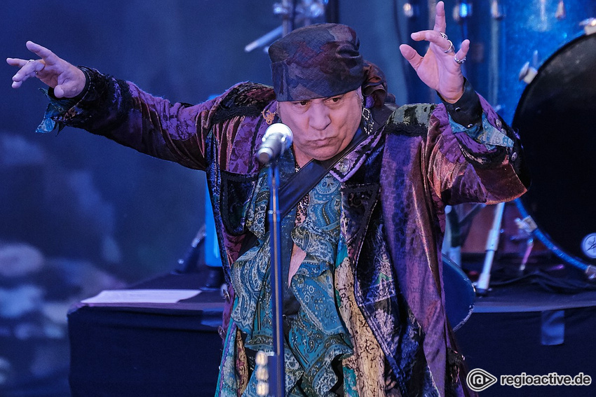 Little Steven & The Disciples Of Soul (live in Hanau 2019)