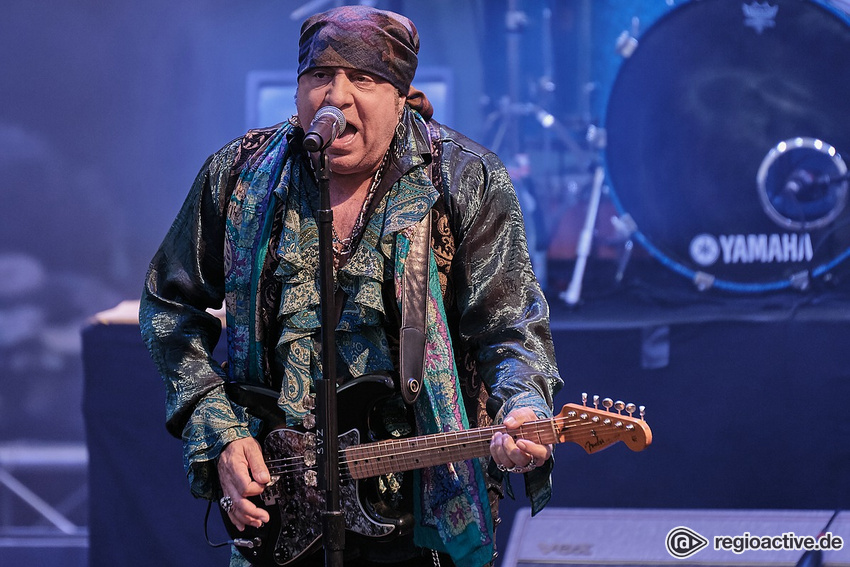 Little Steven & The Disciples Of Soul (live in Hanau 2019)