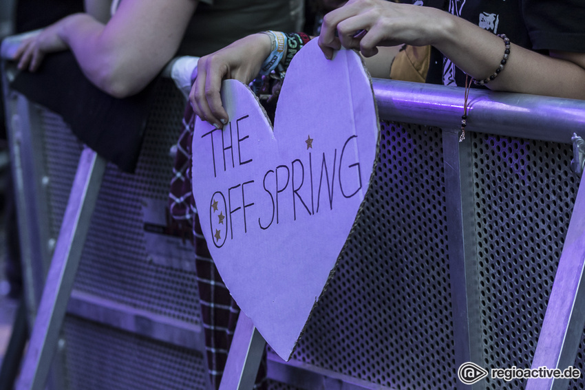 The Offspring (live auf dem Highfield Festival, 2019)