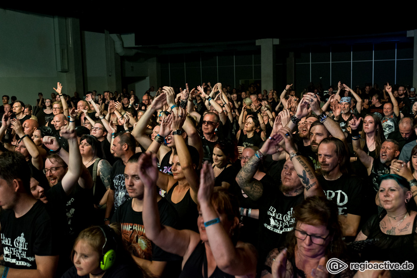 Impressionen vom Black Castle Festival 2019 in Mannheim