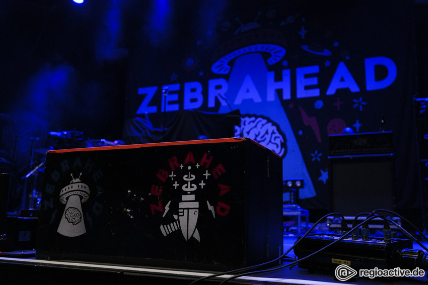 Zebrahead (live in Stuttgart 2020)