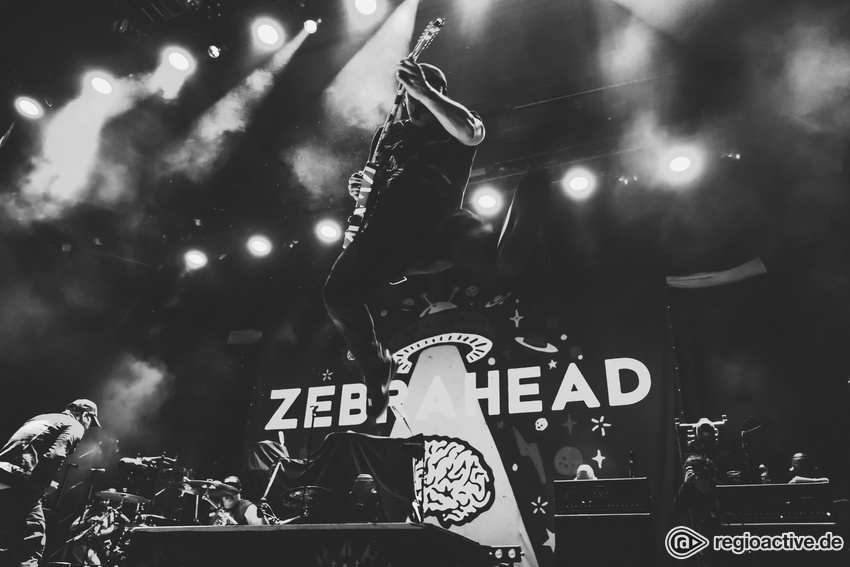 Zebrahead (live in Stuttgart 2020)