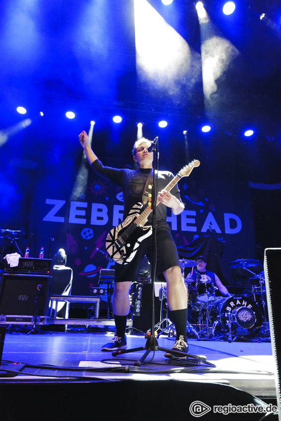 Zebrahead (live in Stuttgart 2020)