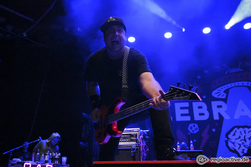 Zebrahead (live in Stuttgart 2020)