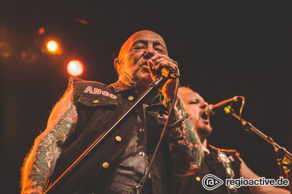 Rock'n'Roll Outlaws - Rose Tattoo überzeugen in der Batschkapp Frankfurt durch Erfahrung 