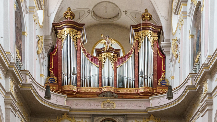 Die Gesellschaft der Orgelfreunde wird Mitglied im Deutschen Musikrat