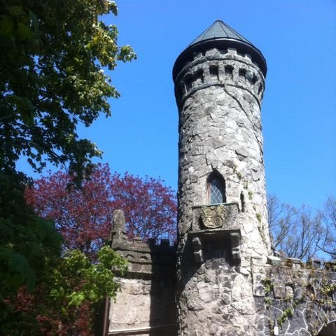 Alsterschlösschen Burg Henneberg
