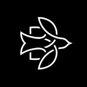 TOOMANYDJS: Anestis, Better Call Paul, JaMoll b2b unDs & More