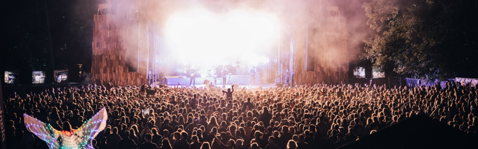 Sound of the Forest 2024: Bewerbt euch jetzt für den letzten freien Slot!