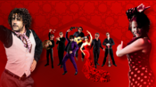 FLAMENCO - ROSAS NEGRAS