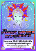 Franz Mayer Experience