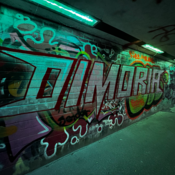 Dimoria