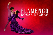 FLAMENCO - ROSAS NEGRAS