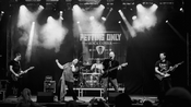 Petting Only - Rock Cover