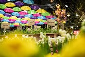 22. Chemnitzer Frühling