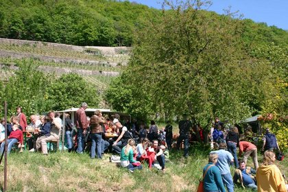 Weinfest und Erntedank