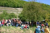 Weinfest und Erntedank
