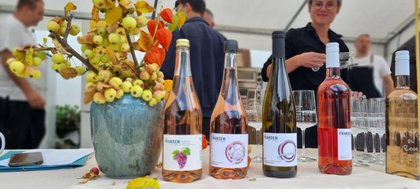 Weinfest im Schwalbenhof