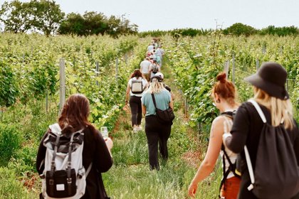 Gästeführung: Weinwanderung "nachhaltig & innovativ"