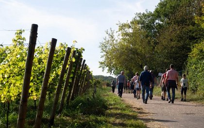 Weinwanderung | jeden SA (ab 18.April bis 24.Oktober)