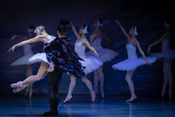 Schwanensee - International Festival Ballet & Festival Orchestra