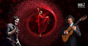Ay Flamenco!