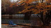 Waldbaden im Waldpark Mannheim: Herbstliebe