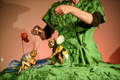 Tag der Artenvielfalt: Figurentheater " Ein Stück Wiese"