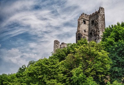 Bonn und das Siebengebirge entdecken - Sightseeing Tour mit Live Guide