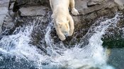 Sommerferien im Zoo Rostock