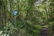 Führung: "Halde Zollern"
