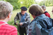 Tag der Artenvielfalt: Artenkundlicher Spaziergang in Mannheimer Waldpark
