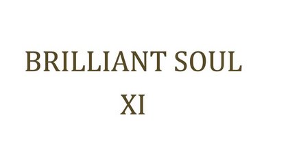 Brilliant Soul XI