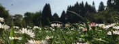 FÜHRUNG | Wie schmeckt der Schlosspark?