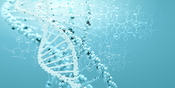 EMDR Therapeut und EMDR Coach Ausbildung 2026