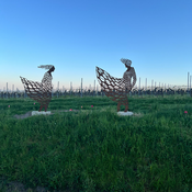 Klappstuhl Events