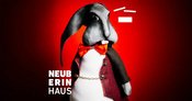 Ferientheater_ Der Sängerkrieg der Heidehasen